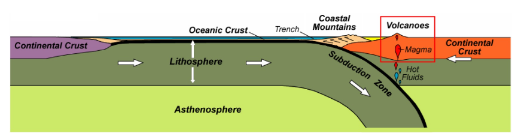 <p><span>The area highlighted by the </span><strong>red box</strong><span> in the figure above is a representation of which of the following </span><strong>tectonic settings</strong><span>?</span></p>