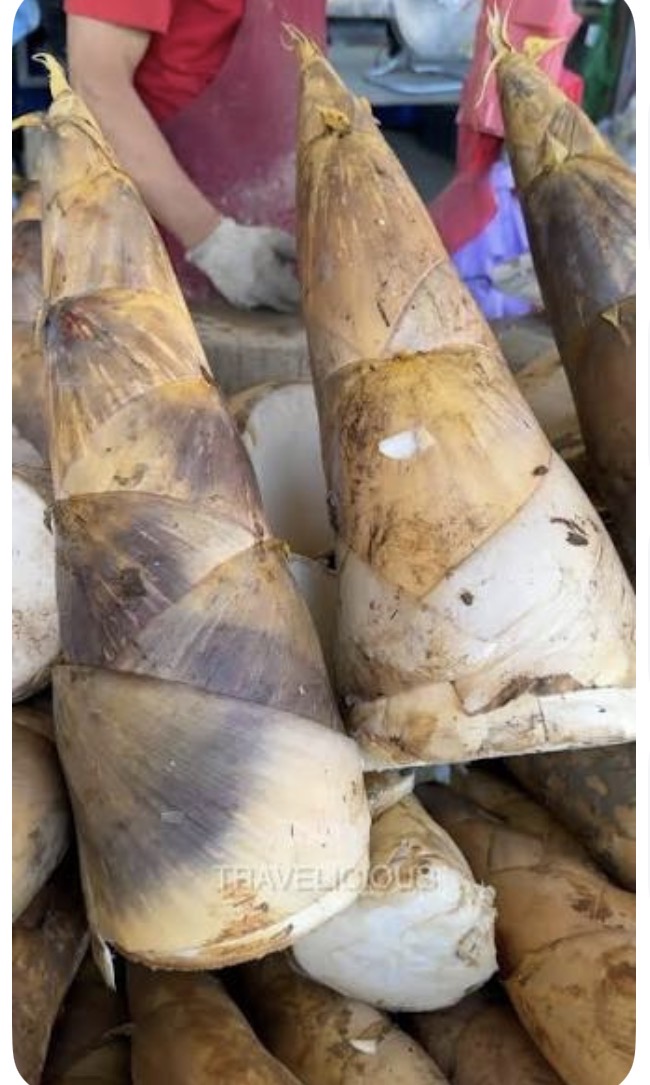 <p>Taiwanese bamboo shoot</p>