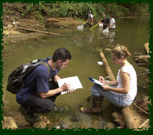 <p>Environmental Science</p>