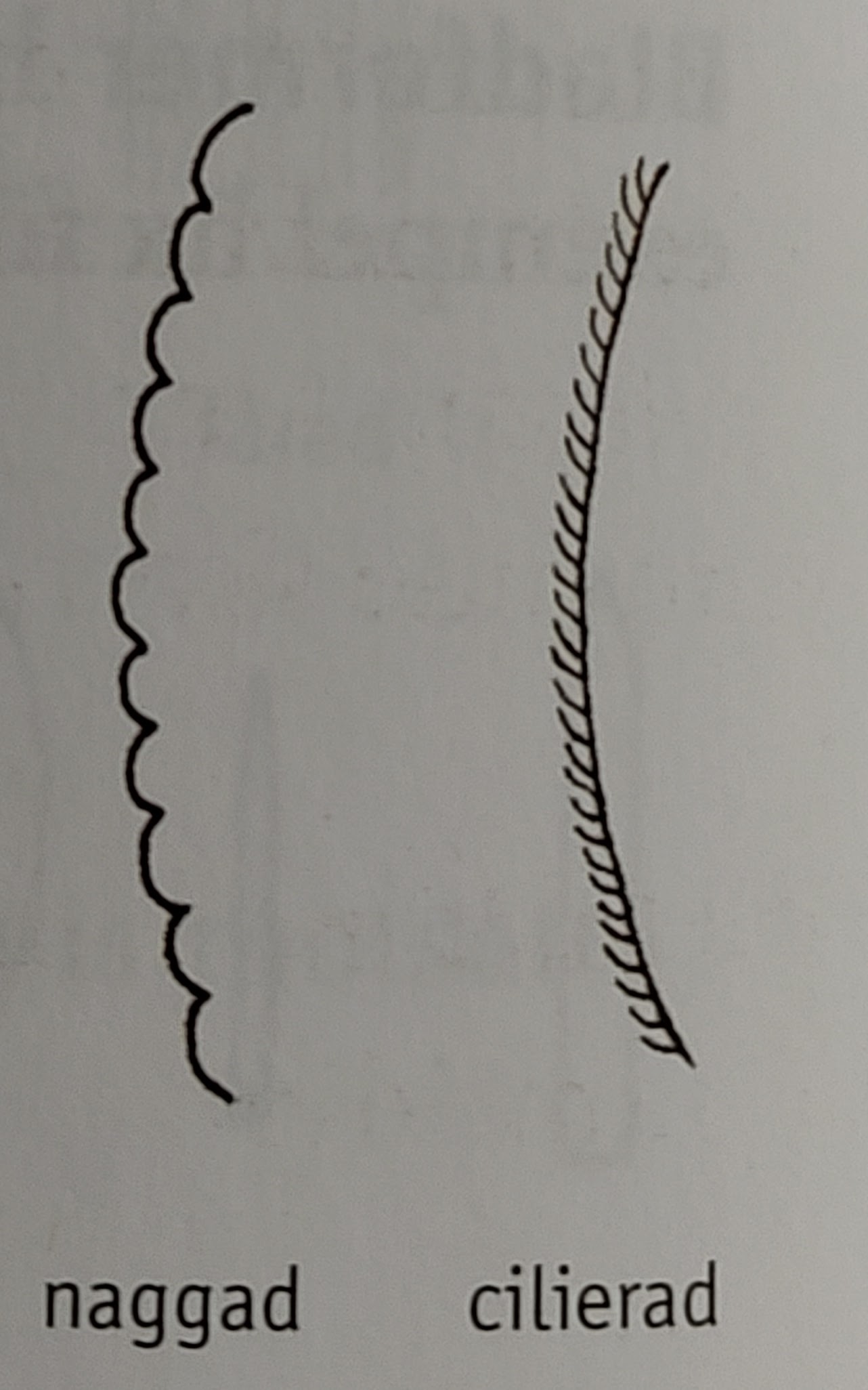 <p></p>