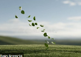 <p>Viento suave</p>