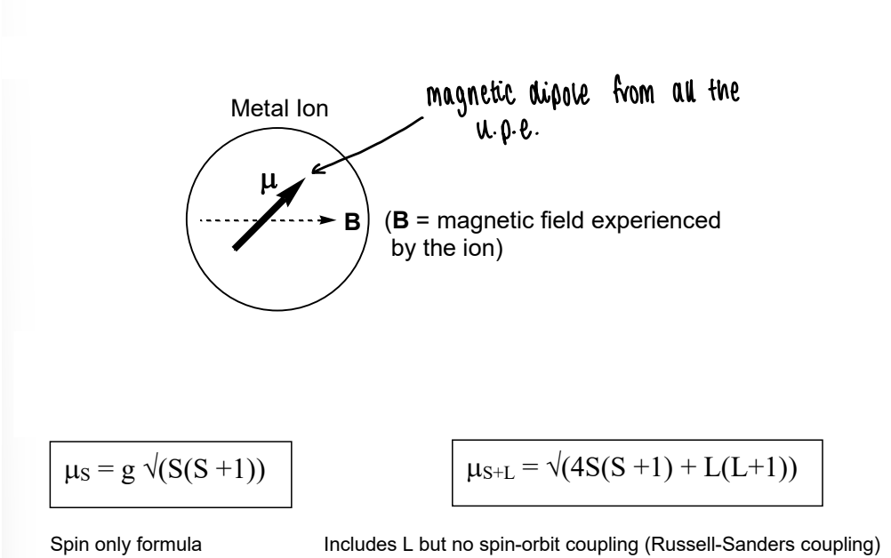 <p>Individual ions with u.p.e. have a magnetic dipole moment, the size of this dipole moment depends on the spin and orbital angular moments.</p><ul><li><p>Where S = total spin angular momentum</p></li><li><p>L = total orbital angular momentum</p></li><li><p>g = g factor.</p></li></ul><p></p>