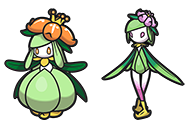 <p>Dressela</p>
