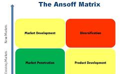 <p>Identifies business growth strategies </p>