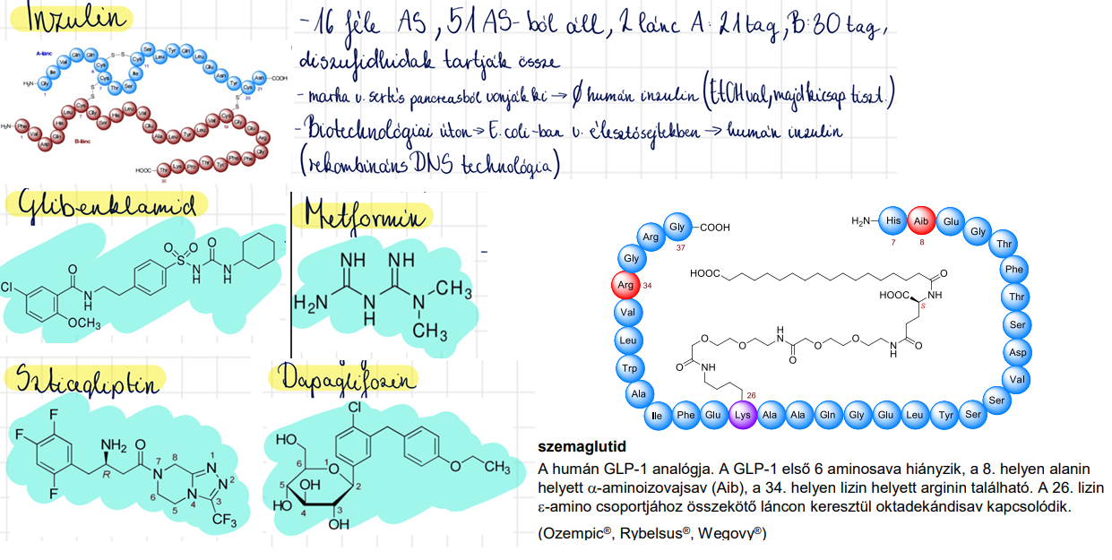 <p>inzulin <br>szemaglutid (Ozempic) <br>glibenklamid (Amglidia) <br>metformin (Adimet, Meforal) <br>szitagliptin (Januvia) <br>dapagliflozin (Forxiga)</p>