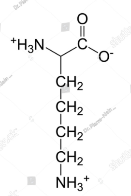 <p>What is this amino acid?</p>
