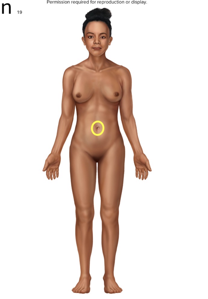 <p>Name the body part or region</p>
