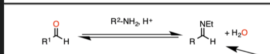 <p>Formation of amines to imines (Acidic conditions)</p><p></p>