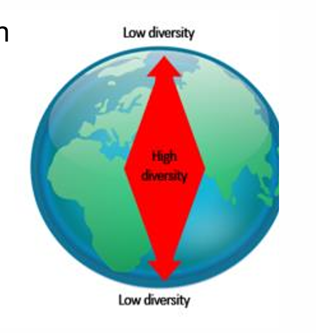 <ul><li><p>The study of patterns of species composition and richness across geographic locations </p></li><li><p>species richness and composition vary with latitude </p></li></ul><p></p>