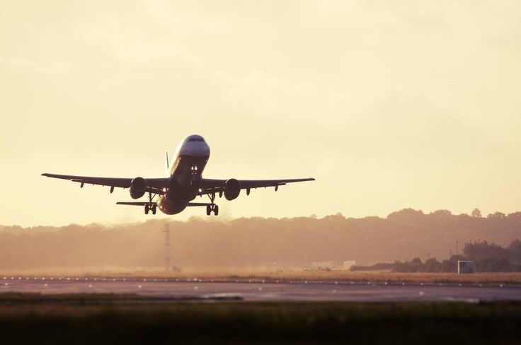 <p>take off </p>