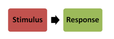 <p>Stimuli (singular = stimulus) can trigger responses (thoughts, feelings, behaviours)</p><ul><li><p>meaning varies across<span style="color: yellow;"><strong> individuals and context</strong></span></p></li><li><p>interpretation matters, but<span style="color: rgb(112, 255, 250);"><strong> conscious awareness isn’t needed </strong></span>for</p><p>stimulus to be influential</p></li><li><p>stimuli can act alone or altogether</p></li></ul><p></p>