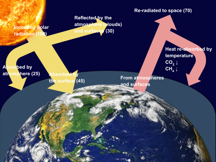 <p>Feedback to climate change:</p>