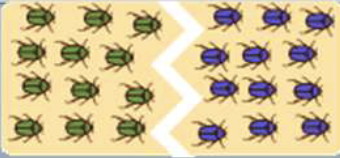 <p>Identify and define the mode of speciation.</p>
