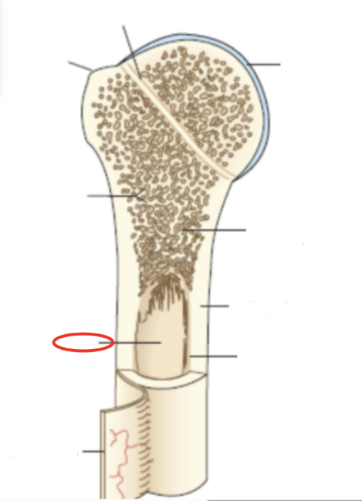 <p>what is the red circle?</p>