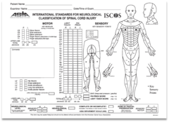 <p>standardized method of assessing level and motor function of spinal cord injury</p><p>level of disability correlating with prognosis and recovery</p><p>ASIA A-E</p>