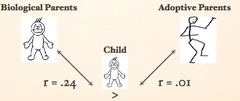 <p>assessing hereditary influence by examining the resemblance between adopted children and both their biological and their adoptive parents</p>