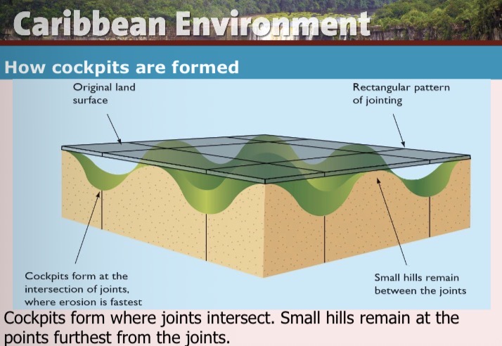 <ul><li><p>cockpit country in Jamaica made of pure white limestone crossed by joints and faults </p></li><li><p>Joints and faults intersect, rapid weathering form star-shaped depression </p></li><li><p>Small conical hill remain away from joints </p></li><li><p>Where jointing is regular hills are arranged in rows</p></li></ul><p></p>