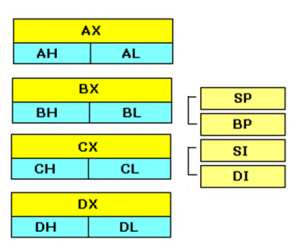 <ul><li><p>4 Data Registers</p></li><li><p>2 Pointer Registers</p></li><li><p>2 Index Registers</p></li></ul><p></p>
