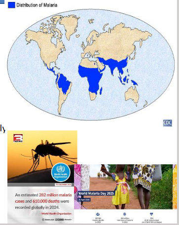 <p>Epidemology of Malaria</p>