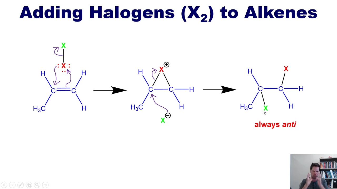 <p>CL and Br ONLY </p><p></p><p>ALWAYS ANTI </p>