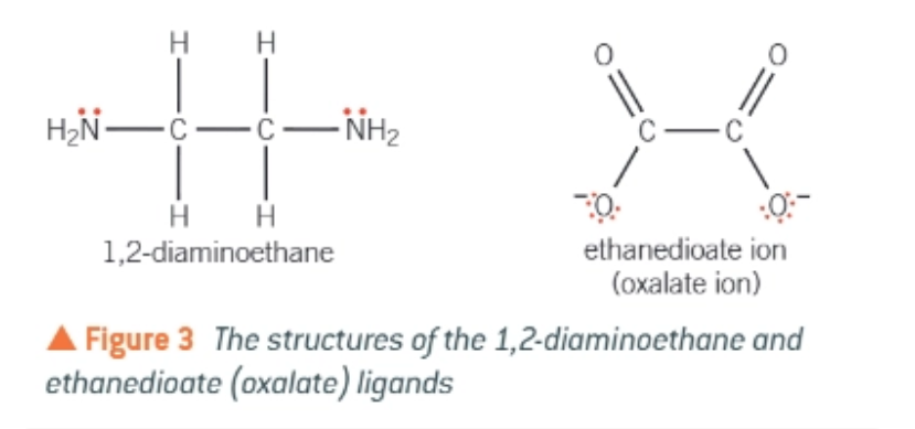 <p>1,2-diaminoethane (frequently shortened to ‘en’) </p><p>ethanedioate </p><p></p>