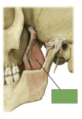 <p>This is the</p>