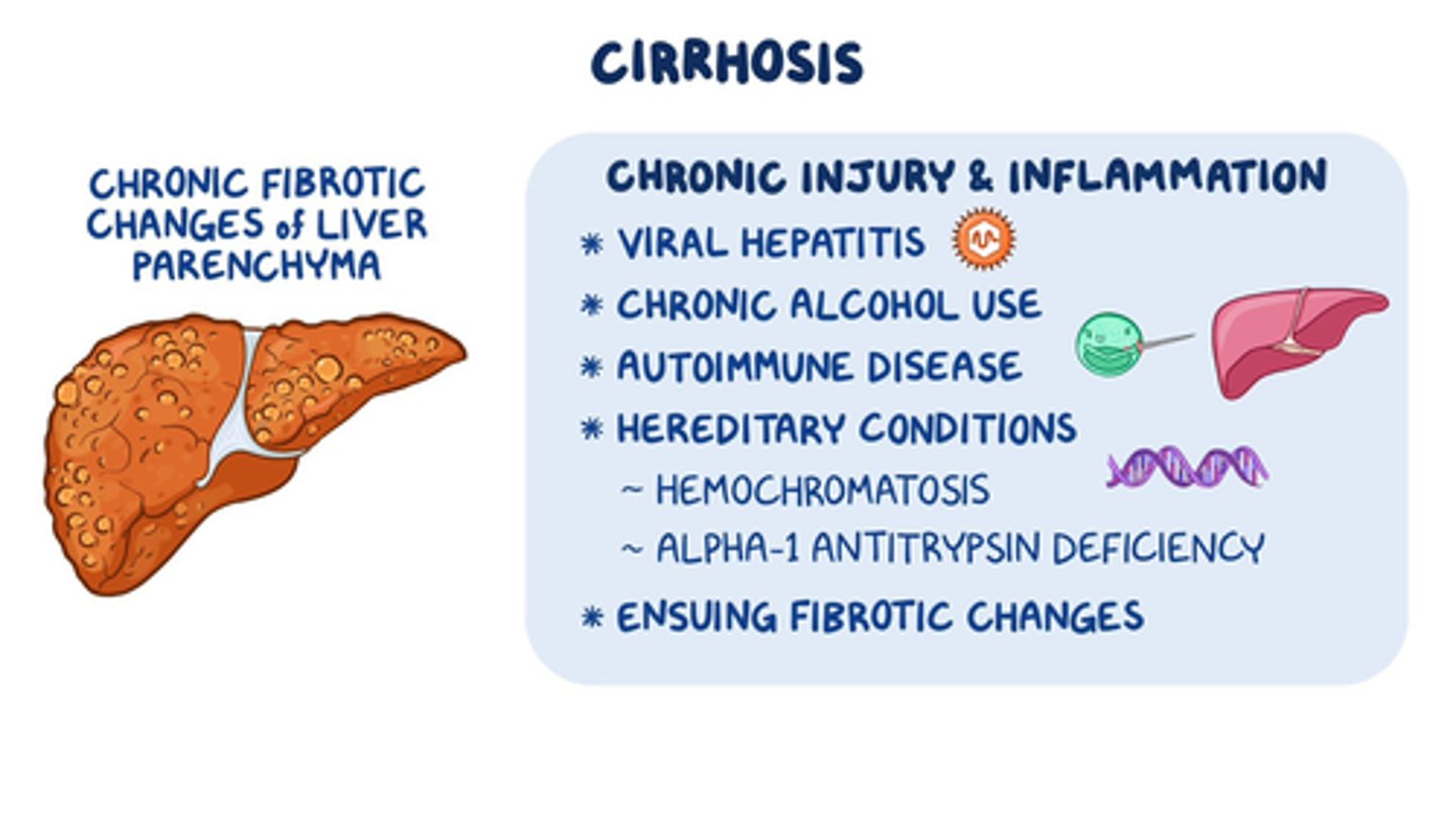 <p>B) Chronic alcohol abuse, viral hepatitis (B and C), and non-alcoholic fatty liver disease</p>