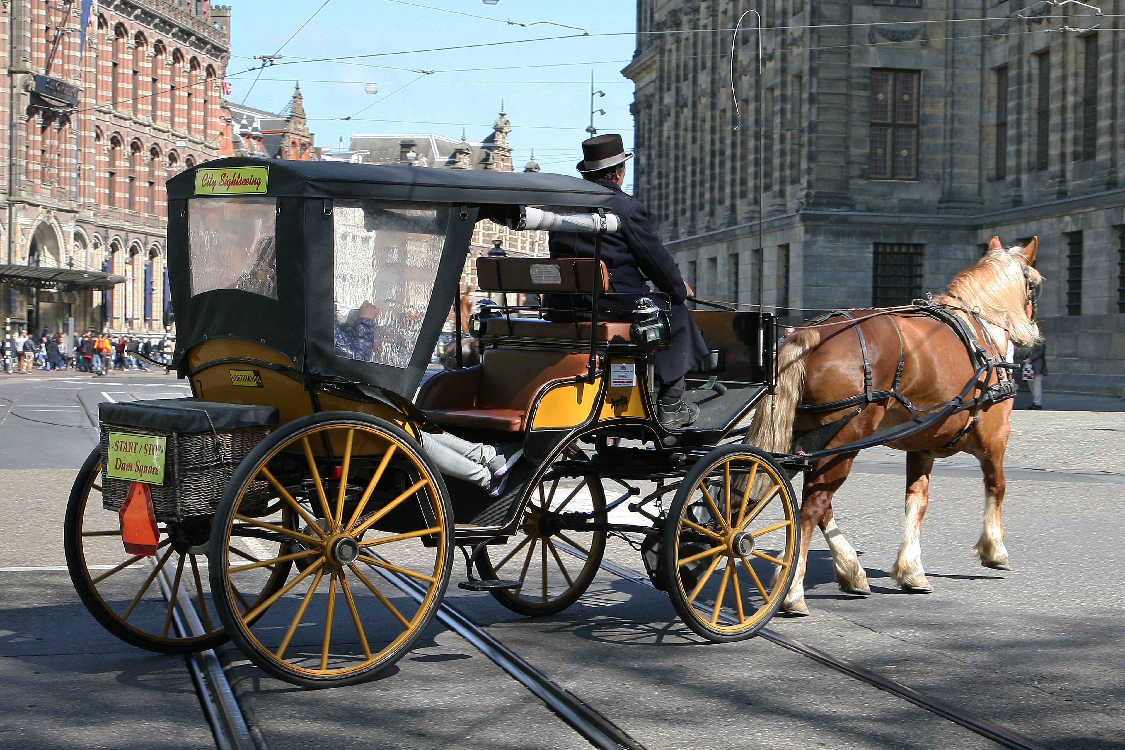 <p>Die Pferdekutsche, -n (der Fiaker, - )</p>