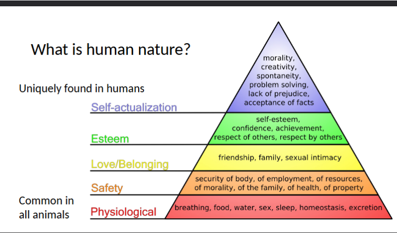 <ul><li><p>this includes self-actualization traits such as morality, creativity, problem solving, lack of prejudice etc </p></li></ul><p></p>