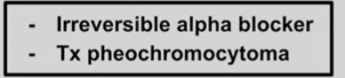 <p>sounds like pheochromocytoma</p>