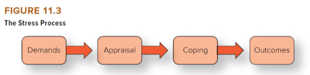 <ul><li><p>Demands created by individual differences - type A </p></li><li><p>Individual task demands</p></li><li><p>Individual role demands - role overload, role conflict, role ambiguity </p></li><li><p>Group demands,</p></li><li><p>Organizational demands</p></li><li><p>Nonwork demands.</p></li><li><p>Work-family conflict </p></li><li><p>*demand is anything that you have to exert effort toward taking care of </p></li></ul><p></p>