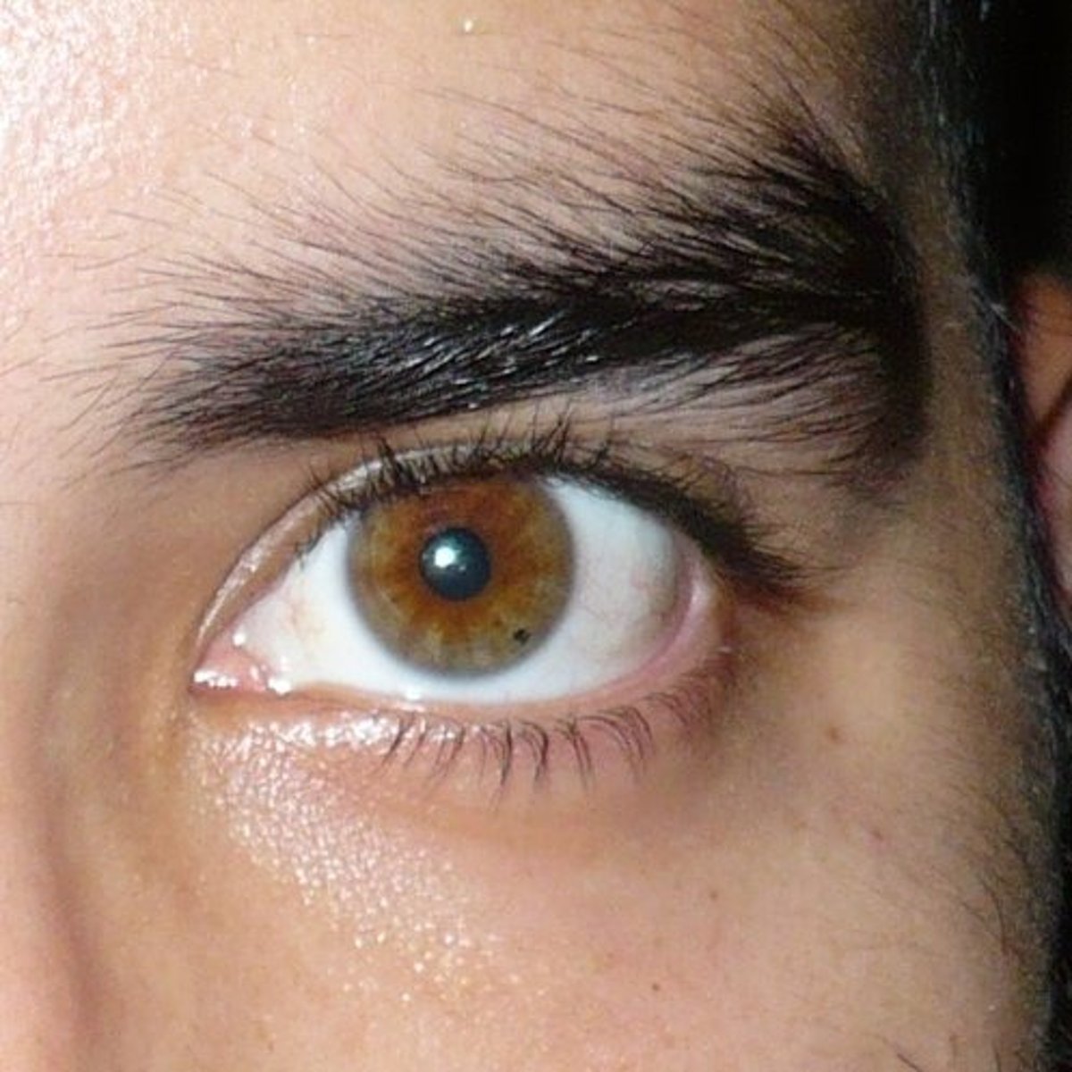 <p>(descriptive English) lông mày rậm Ví dụ: My father has bushy eyebrows.</p>