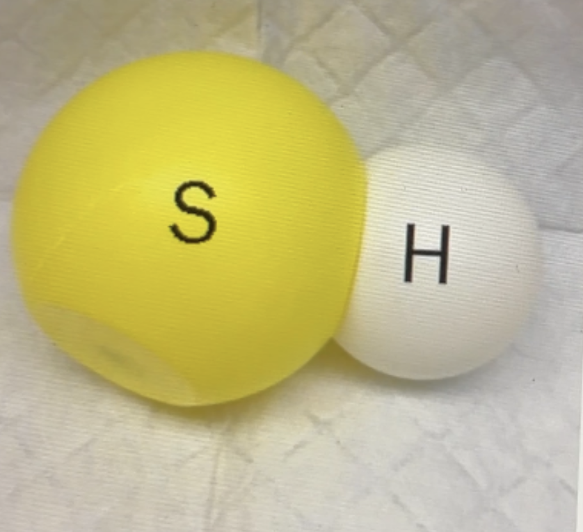 <p>The chemical grouping -SH shown here is called</p>