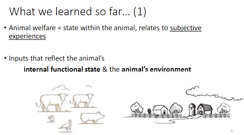 <p><strong>Definition</strong><br> <strong>Animal welfare</strong> = internal <strong>state</strong> of the animal reflecting <strong>subjective experiences</strong><br> Depends on <strong>internal functional state</strong> and <strong>environmental inputs</strong></p>