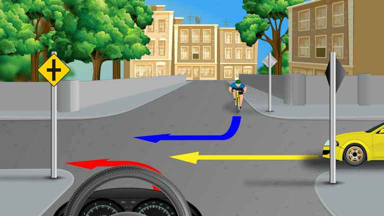 <p>What should the driver do?</p>