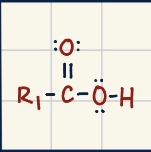 <p>What type of <strong>FUNCTIONAL</strong> <strong>GROUP</strong> is this image?</p>