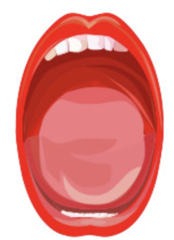<p>What is the Mallampati score (MP)? Why?</p>
