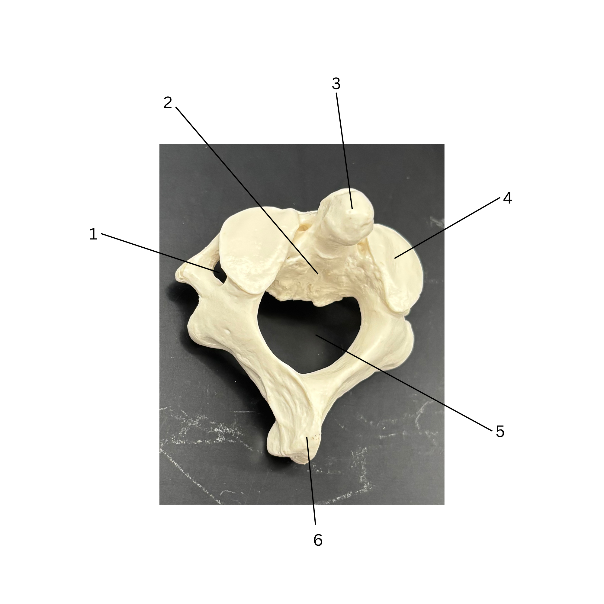 <p>5</p>