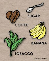 <p>Commodity grown and sold</p>