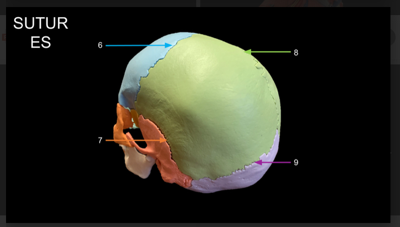 <p>WHAT IS 9 CALLED?</p>