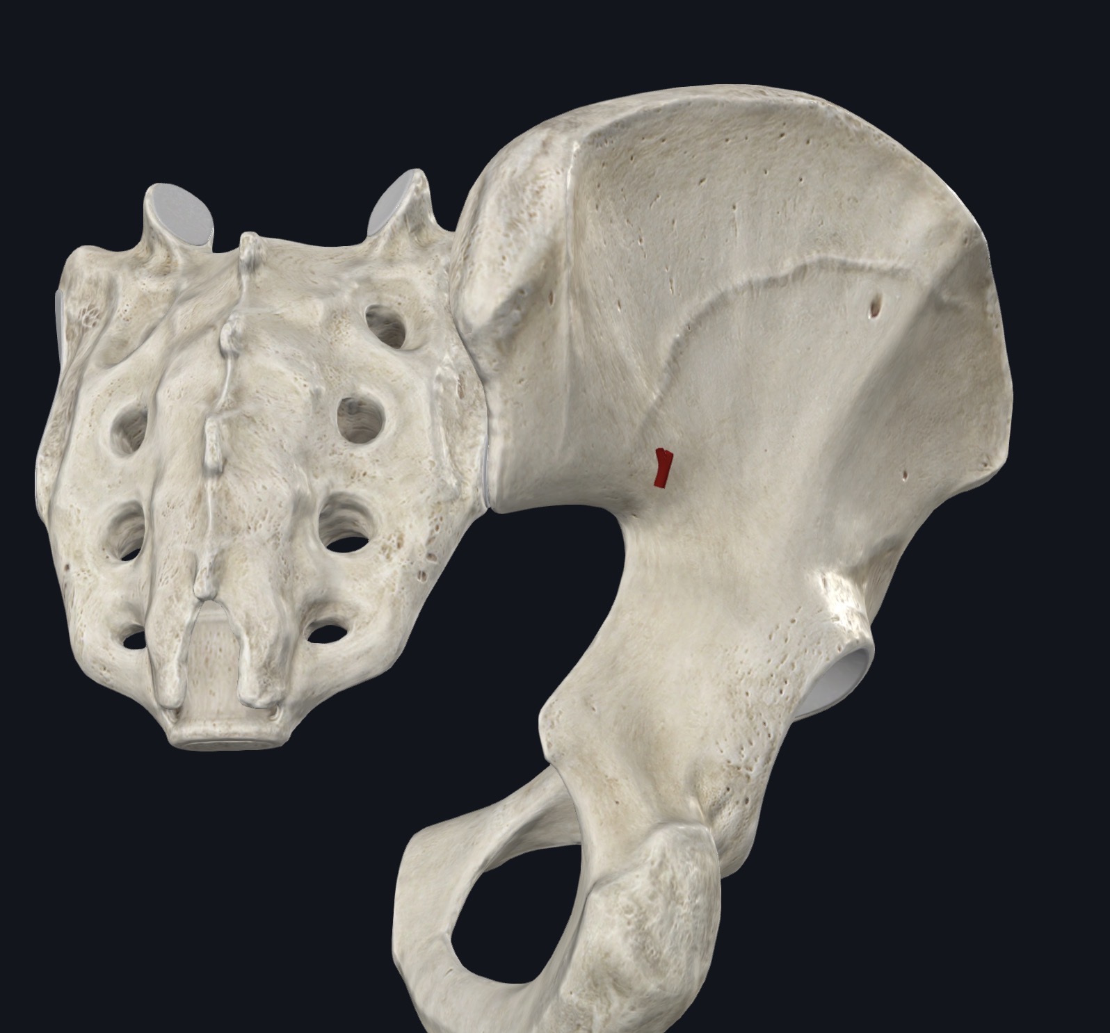 <p>¿Qué es esto?</p>