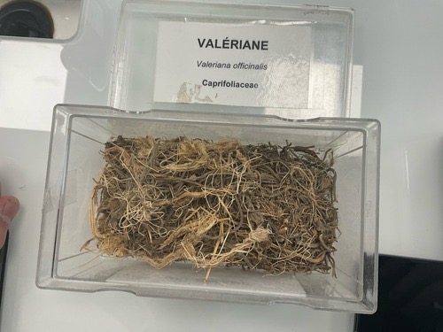 term image