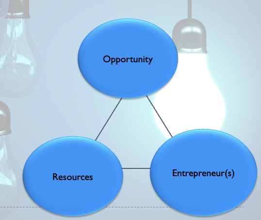 <p>the creation of new value by an existing organization or new venture that involves the assumption of risk</p>