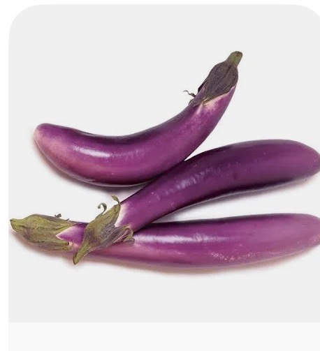 <p>Chinese eggplant</p>