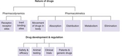 <p>The study of the effects of medications on the human body, including the actions and effects of drugs in relation to their chemical structures.</p>