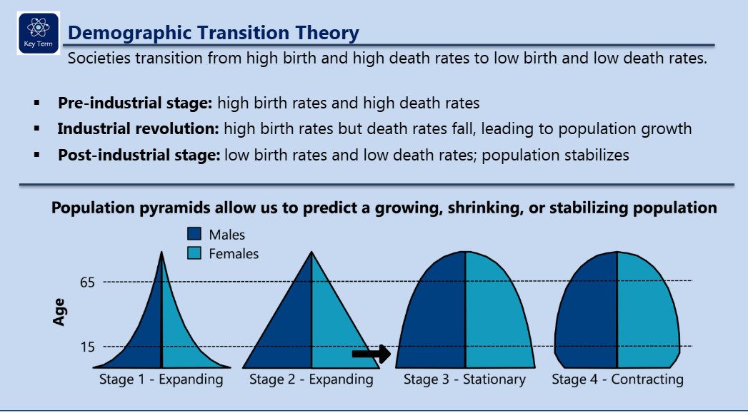 <p>demographic: age</p>