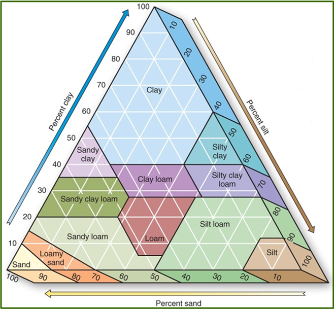 <p>Refers to the size of soil particles and the proportions of different sizes. Any particle less than 2 mm in diameter is considered part of the soil. </p><p>Sands are coarse to medium to fine, silt is finer, and clay is finer still. </p><p>Soil texture is determined from a soil texture triangle. </p>