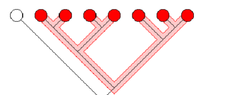<p><span>a taxon that includes the ancestor and all of its</span><br><span>descendants</span></p>
