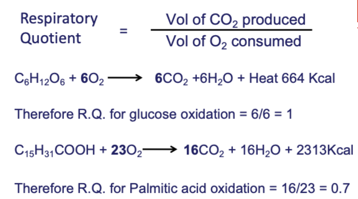 <p>Formula: RQ = volume of CO2 produced */*Volume of O2 consumed</p><p>Therefore RQ for glucose oxidation: 6CO2/6O2 = 1</p><p>Therefore RQ for palmitic acid oxidation = 16CO2/23O2 = 0,7</p>