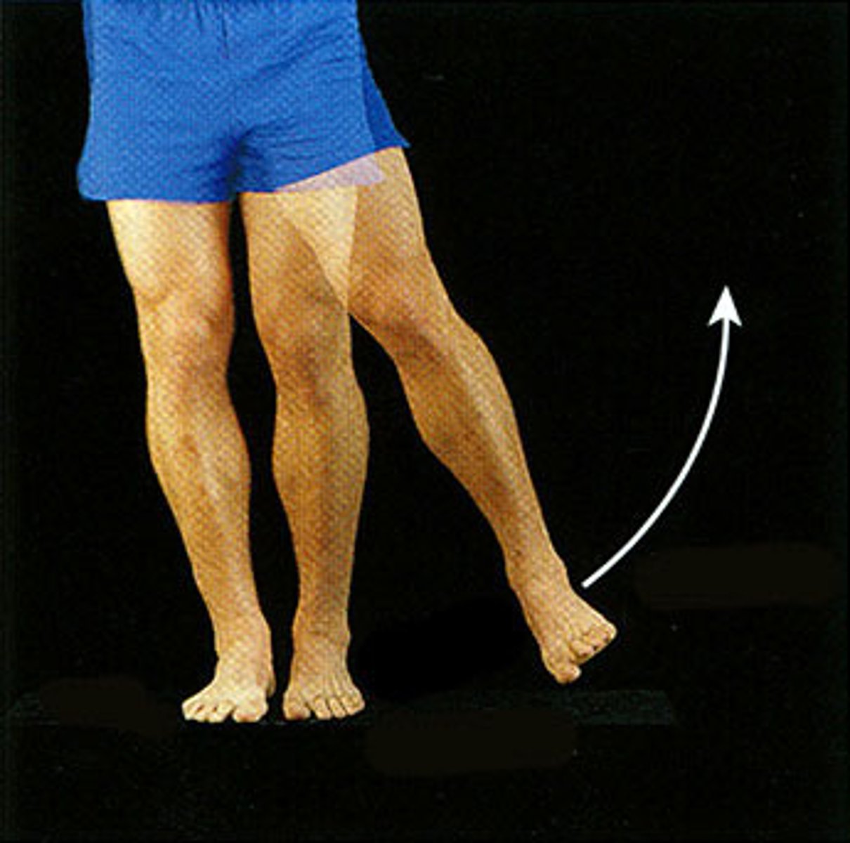 <p>Moving a limb away from the body midline in the frontal plane.</p><p>Example: Raising the arm or thigh laterally</p>